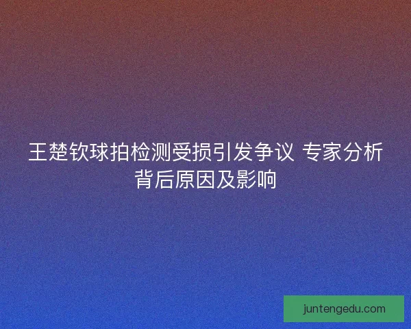 王楚钦球拍检测受损引发争议 专家分析背后原因及影响
